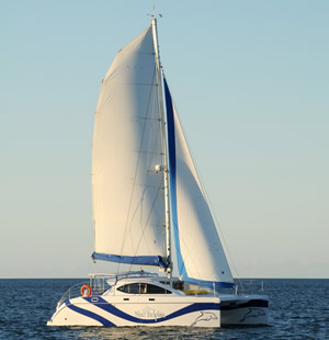 Blue Dolphin Marine Tours Sailing Catamaran Blue Dolphin Marine Tours Sailing Catamaran