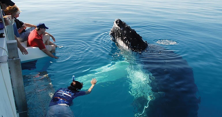 Fraser Island Tours Hervey Bay Fraser Island Tours Hervey Bay