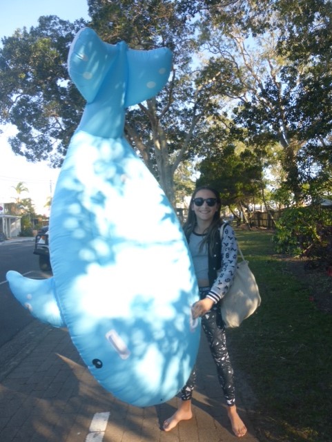 Blue Dolphin Paddles Out For Whales | Blue Dolphin Tours